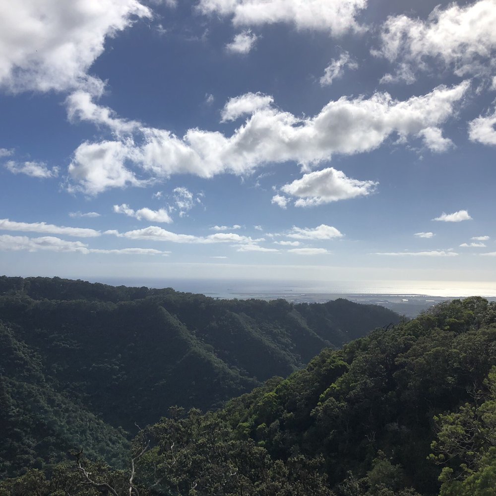 Aiea Loop Trail - Hiking Near Me - Aiea, Hawaii