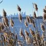 Photo of Amico Island State Park