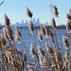 Amico Island State Park