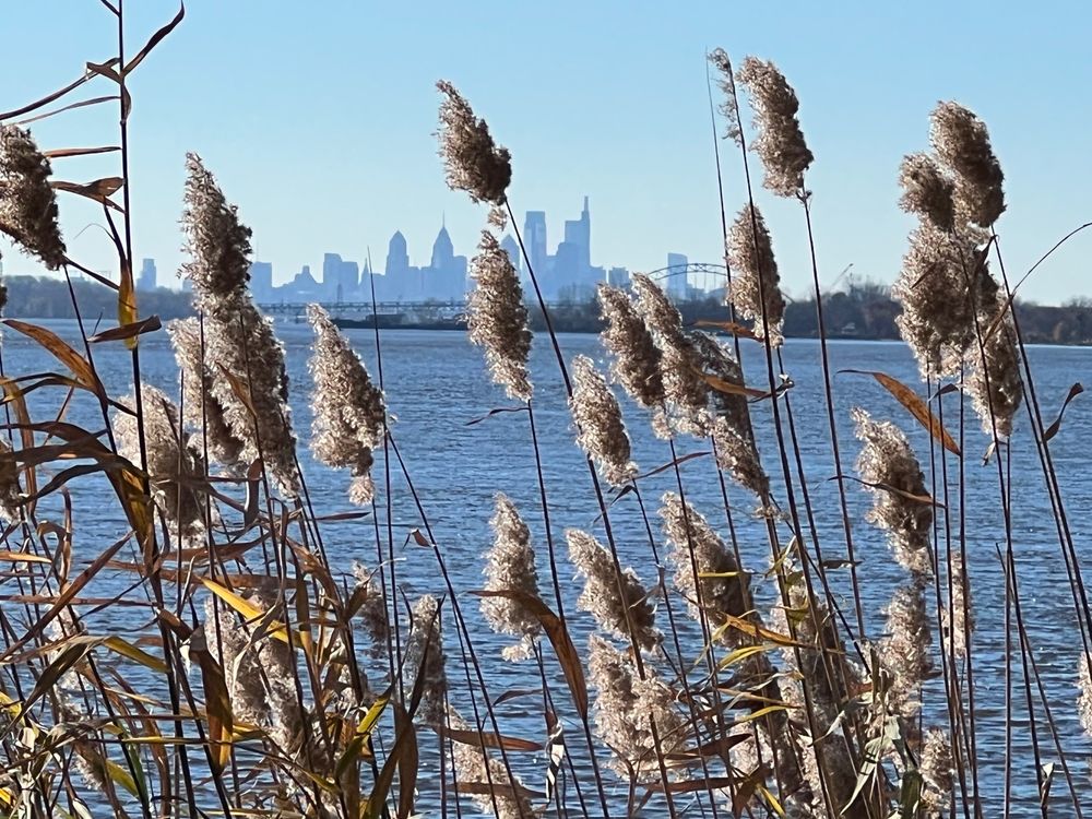 Social spots from Amico Island State Park