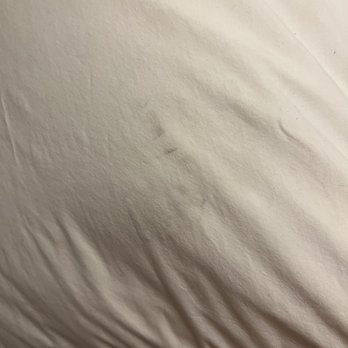 Days Inn by Wyndham Slidell - Dirt on the pillow - Hotels Near Me - Slidell, Louisiana