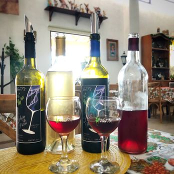 Viña TX - 4 of the wines we sampled! - Wine Tours Near Me - Tequisquiapan, QUE