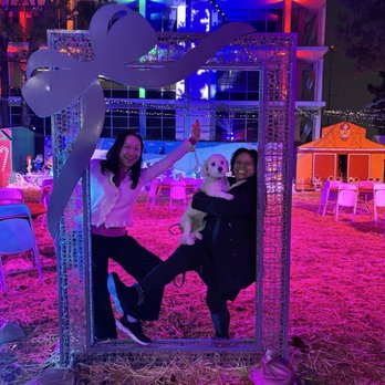 Costa Mesa City Hall - Goof Balls having fun at Various Snoopy House displays at "Snoopy Hall" over the holidays - Town Hall Near Me - Costa Mesa, California Costa Mesa City Hall - Goof Balls having fun at Various Snoopy House displays at "Snoopy Hall" over the holidays - Town Hall Near Me - Costa Mesa, California