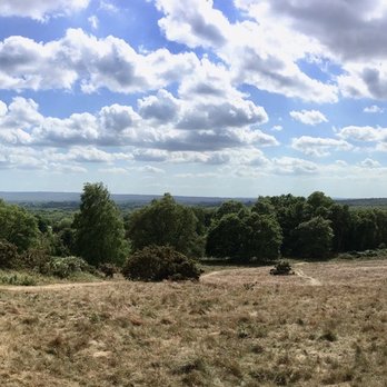 Puttenham Common - Puttenham Common - Parks Near Me - Puttenham, SRY