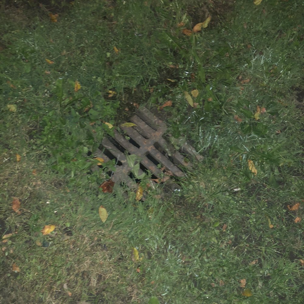 Earlscourt Park - Storm drain near Davenport Rd. Stairs - Dog Parks Near Me - Toronto, Ontario Earlscourt Park - Storm drain near Davenport Rd. Stairs - Dog Parks Near Me - Toronto, Ontario