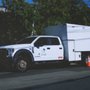 Photo of The Professional Tree Care Company