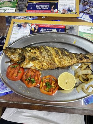 Photo of Etzel Itzik Deli - Miami, FL, US. Bronzino fish