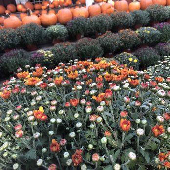 Battleview Orchards - Pick Your Own Farms Near Me - Freehold, New Jersey