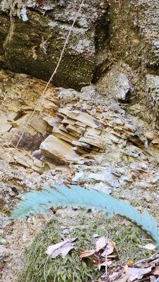 Anthony Chabot Regional Park by null