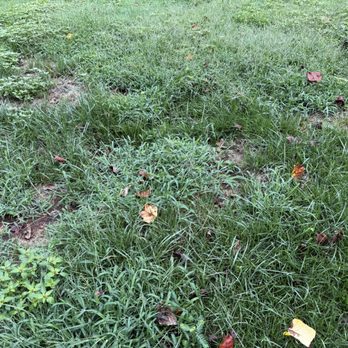 TruGreen Lawn Care - Tree Services Near Me - Acworth, Georgia