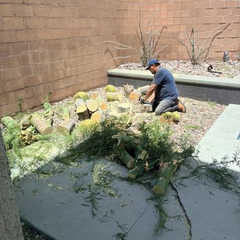 3 Brothers Tree Service - Almost done - Landscaping Near Me - Henderson, Nevada 3 Brothers Tree Service - Almost done - Landscaping Near Me - Henderson, Nevada