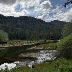 Emerald Forest Tours