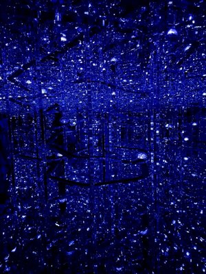 teamLab Borderless: MORI Building DIGITAL ART MUSEUM by null