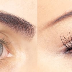 The Art of Beauty