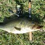 Photo of R and J Bait and Tackle