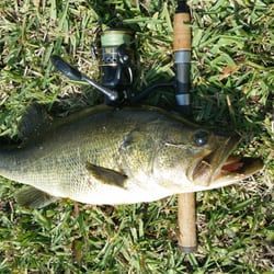 R and J Bait and Tackle