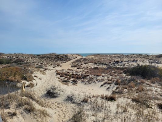 Back Bay National Wildlife Refuge by null