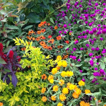 Frelinghuysen Arboretum - Botanical Gardens Near Me - Morristown, New Jersey
