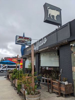 Summer Buffalo Thai Burbank by null