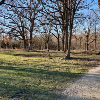 Half Day Forest Preserve - Picnic tables everywhere! - Parks Near Me - Vernon Hills, Illinois
