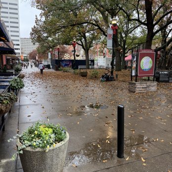 Myrtle's Chicken + Beer - Market Square - Southern Near Me - Knoxville, Tennessee