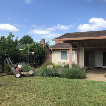 Del Cid Tree Service - Landscaping Near Me Del Cid Tree Service - Landscaping Near Me