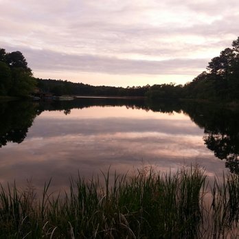 Tyler State Park - Parks Near Me - Tyler, Texas Tyler State Park - Parks Near Me - Tyler, Texas
