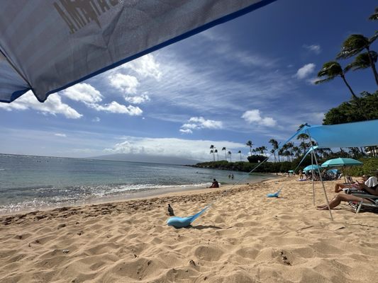 Kapalua Bay Beach by null