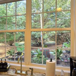 Linton Realty - View from the kitchen