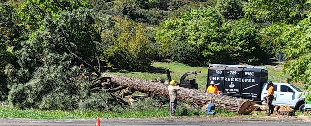 The Treekeeper - tree service in Ramona, CA