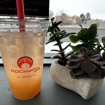 Rocky Fin Poke Bar 120th - a drink and a plant - Hawaiian Near Me - Westminster, Colorado Rocky Fin Poke Bar 120th - a drink and a plant - Hawaiian Near Me - Westminster, Colorado