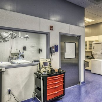 NorthStar VETS - Brick - Veterinarians Near Me - Brick, New Jersey NorthStar VETS - Brick - Veterinarians Near Me - Brick, New Jersey
