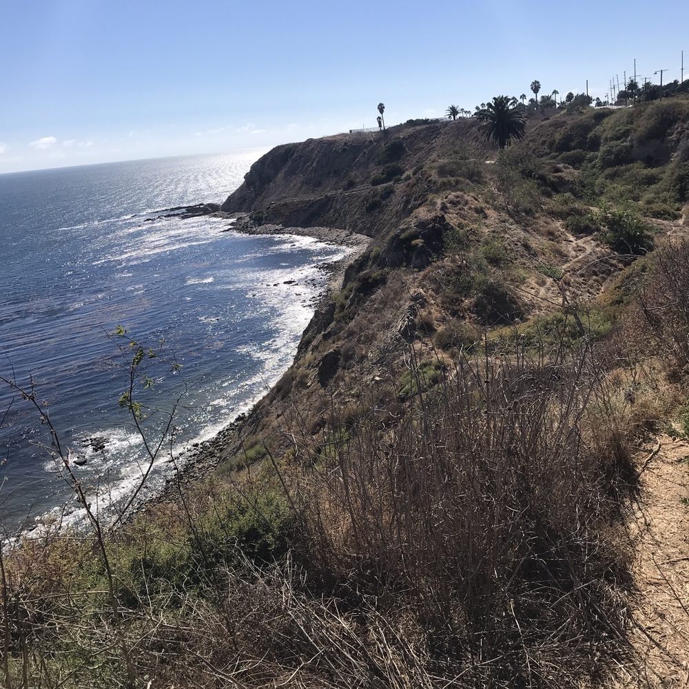 White Point Nature Preserve - The coast road used to be from here, way over to where those telephone poles are.  Landslide about 10 years ago now. - Parks Near Me - San Pedro, California