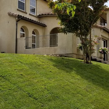 CM Landscaping Services - Tree Services Near Me