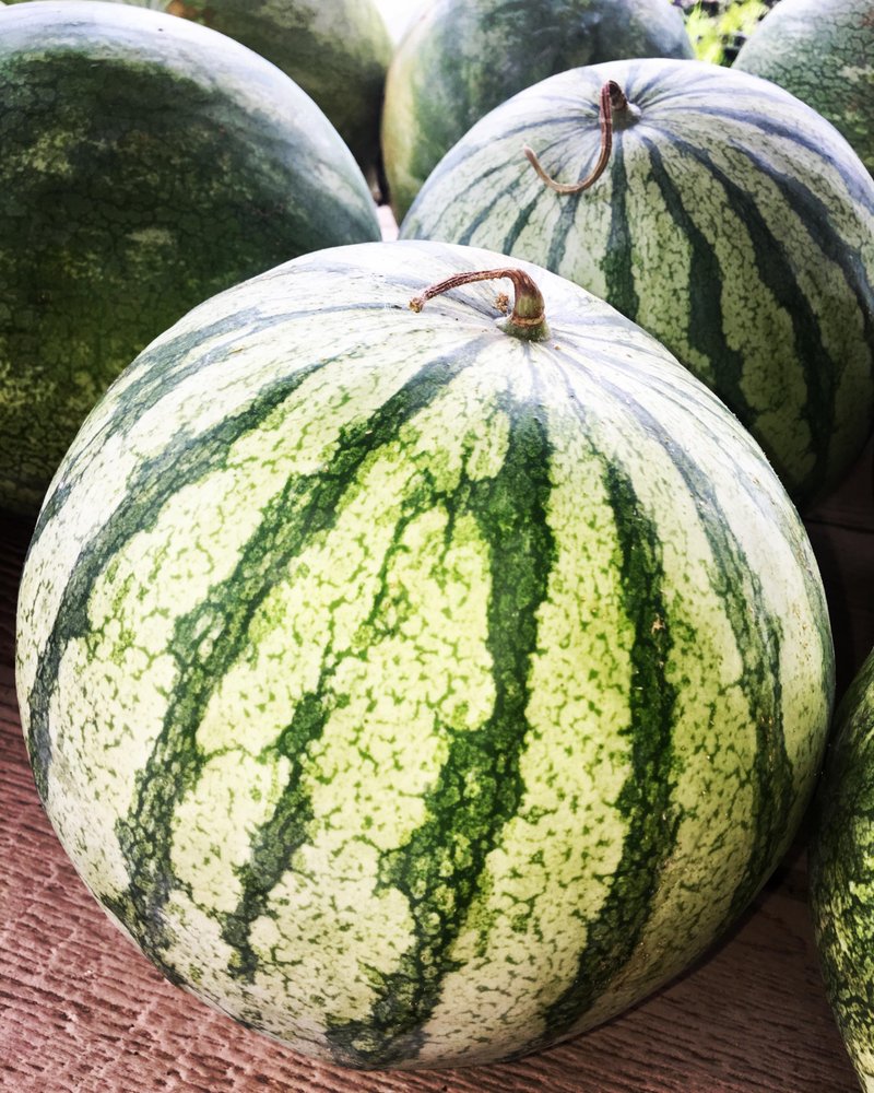 CAPELLI FARMS 45 Photos 1537 W Front St, Lincroft, NJ Yelp