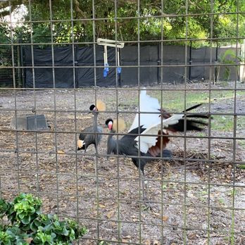 Naples Zoo - Zoos Near Me - Naples, Florida