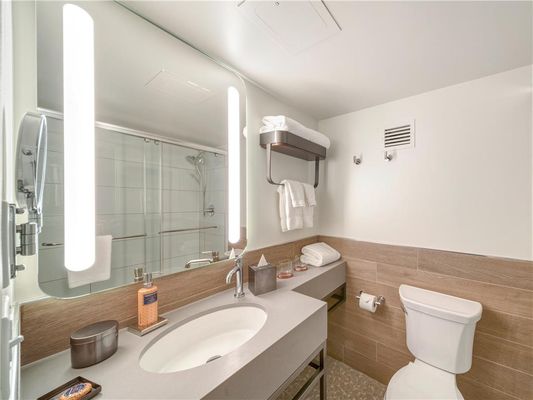 The Wildbirch Hotel - JDV by Hyatt by null