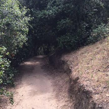 Marian Bear Memorial Park - Nice and shaded - Hiking Near Me - San Diego, California Marian Bear Memorial Park - Nice and shaded - Hiking Near Me - San Diego, California