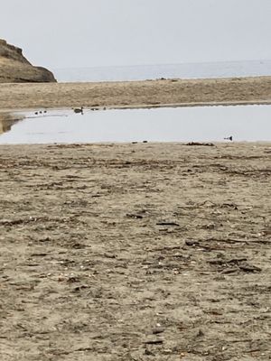 Ocean Echo Inn & Beach Cottages by null