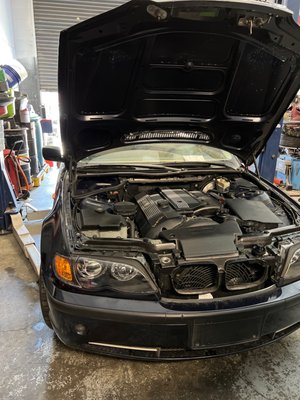 Sedano's Auto Sports by null