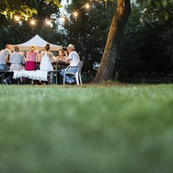 TruGreen Lawn Care