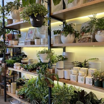 Geometry Gardens - Nurseries & Gardening Near Me - Brooklyn, New York