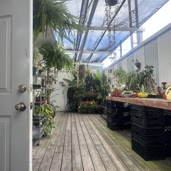 Plantology Café - Coffee & Tea Near Me - Oceanside, California