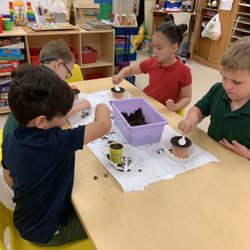 Educated Minds Academy and Primary School - Planting in the classroom.