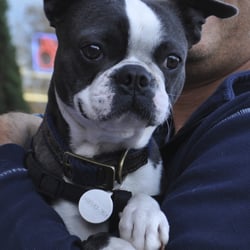 Jake's Wish Dog Rescue - Thank you Jake's Wish Dog Rescue for taking the time to find me the best home! I am so happy and loved in my "furever" home!!!