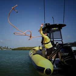 Sea Tow Central Texas