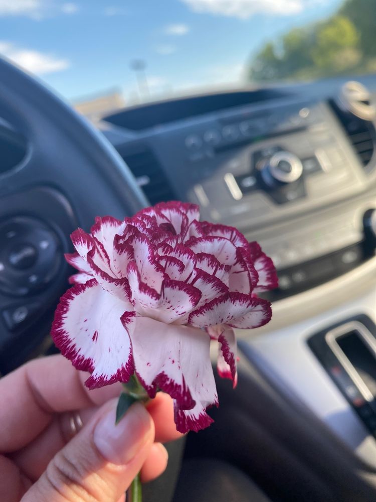 GREASE MONKEY Updated June 2024 24 Photos & 48 Reviews 2100