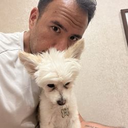 Companion Animal Hospital