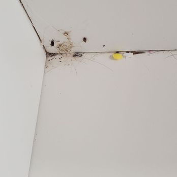 Golden State Storage - Blue Diamond - Pic is upside down, droppings inside a drawer - Self Storage Near Me - Las Vegas, Nevada Golden State Storage - Blue Diamond - Pic is upside down, droppings inside a drawer - Self Storage Near Me - Las Vegas, Nevada