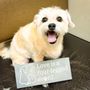 South Valley Animal Hospital